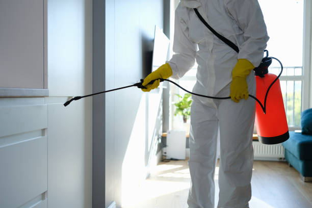 Best Mold Removal for HVAC Installations  in USA